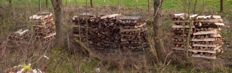 Holzstapel - entspannend zu betrachten